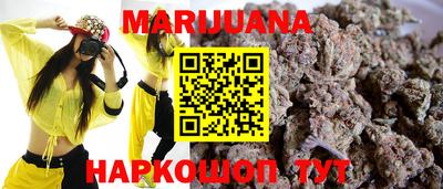 гидра Кингисепп